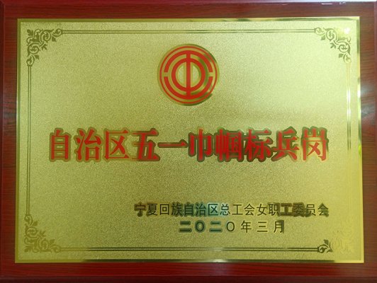 自治區(qū)總工會命名“自治區(qū)五一巾幗標兵崗、五一巾幗標兵”榮譽稱號，寧夏建投榜上有名