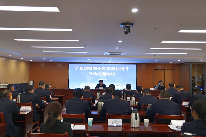 寧夏建投舉辦國(guó)企改革深化提升行動(dòng)專(zhuān)題培訓(xùn)