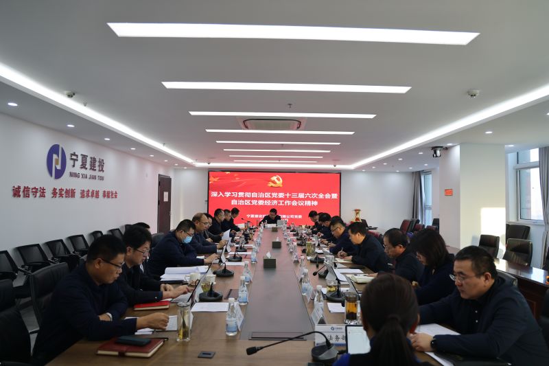 寧夏建投召開黨委擴大會議  傳達學(xué)習(xí)中央經(jīng)濟工作會議和自治區(qū)黨委十三屆六次全會暨黨委經(jīng)濟工作會議精神